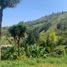  Land for sale in Envigado, Antioquia, Envigado