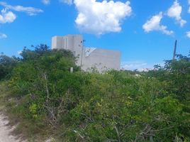  Grundstück zu verkaufen in Chicxulub Pueblo, Yucatan, Chicxulub Pueblo