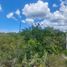  Grundstück zu verkaufen in Chicxulub Pueblo, Yucatan, Chicxulub Pueblo