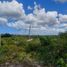  Grundstück zu verkaufen in Chicxulub Pueblo, Yucatan, Chicxulub Pueblo