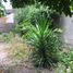  Land for sale in Rioverde, San Luis Potosi, Rioverde