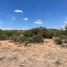  Land for sale in Soledad De Graciano Sanchez, San Luis Potosi, Soledad De Graciano Sanchez
