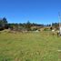  Terreno (Parcela) en venta en Chile, Tome, Concepción, Biobío, Chile
