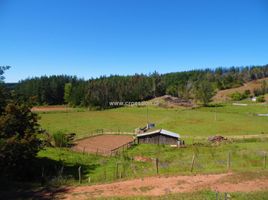  Terreno (Parcela) en venta en Chile, Tome, Concepción, Biobío, Chile
