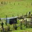  Terreno (Parcela) en venta en Chile, Tome, Concepción, Biobío, Chile