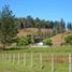  Terreno (Parcela) en venta en Chile, Tome, Concepción, Biobío, Chile