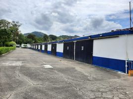  Terreno (Parcela) en venta en La Virginia, Risaralda, La Virginia