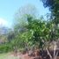  Land for sale in San Antonio, San Martin, San Antonio, San Martin, San Martin