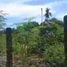  Land for sale in Liloan, Central Visayas, Liloan