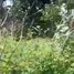  Land for sale in Liloan, Central Visayas, Liloan