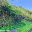  Terreno (Parcela) en venta en Cebu City, Central Visayas, Cebu City, Cebu, Central Visayas, Filipinas