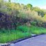  Terreno (Parcela) en venta en Cebu City, Central Visayas, Cebu City, Cebu, Central Visayas, Filipinas