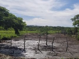  Grundstück zu verkaufen in Playas, Guayas, General Villamil Playas, Playas