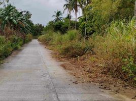  Land for sale in Cavite, Calabarzon, Alfonso, Cavite