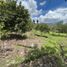  Land for sale in Loja, Malacatos Valladolid, Loja, Loja