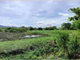  Land for sale in Batangas, Calabarzon, Nasugbu, Batangas