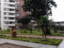 3 Habitación Departamento en alquiler en Panamá, José Domingo Espinar, San Miguelito, Panamá, Panamá