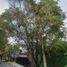 Maison 3 chambre à vendre à Cuernavaca, Morelos, Cuernavaca