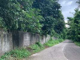  Land for sale in Quezon, Calabarzon, Tiaong, Quezon