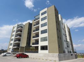 Appartement 3 chambre à vendre à Toluca, Mexico, Toluca