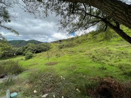  Terreno (Parcela) en venta en Loja, Loja, Loja, Loja