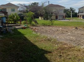  Land for sale in Minglanilla, Cebu, Minglanilla