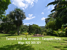  Grundstück zu verkaufen in Tarapoto, San Martin, Tarapoto, San Martin, San Martin