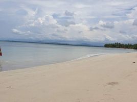  Land for sale in Zambales, Central Luzon, Santa Cruz, Zambales