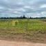  Land for sale in Calamuchita, Cordoba, Calamuchita