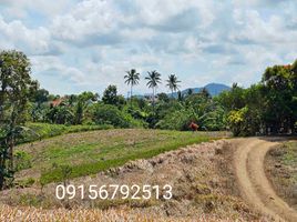  Land for sale in Cavite, Calabarzon, Silang, Cavite