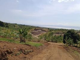  Terrain for sale in Soccsksargen, Alabel, Sarangani, Soccsksargen