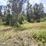  Terreno (Parcela) en venta en Cumbaya, Pichincha, Cumbaya, Quito
