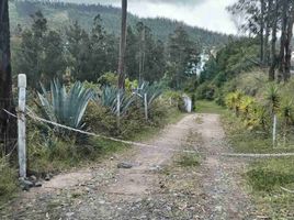  Terreno (Parcela) en venta en Cumbaya, Pichincha, Cumbaya, Quito