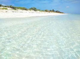  Grundstück zu verkaufen in Hunucma, Yucatan, Hunucma