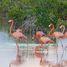  Grundstück zu verkaufen in Hunucma, Yucatan, Hunucma