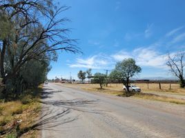  Land for sale in Jesus Maria, Aguascalientes, Jesus Maria