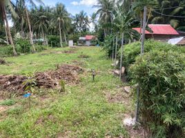  Grundstück zu verkaufen in Negros Oriental, Negros Island Region, Dauin