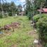  Terrain for sale in Negros Oriental, Negros Island Region, Dauin, Negros Oriental