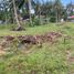  Land for sale in Negros Oriental, Negros Island Region, Dauin, Negros Oriental