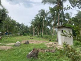  Grundstück zu verkaufen in Negros Oriental, Negros Island Region, Dauin