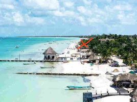  Grundstück zu verkaufen in Lazaro Cardenas, Quintana Roo, Lazaro Cardenas
