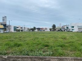  Grundstück zu verkaufen in Veracruz, Veracruz, Veracruz, Veracruz