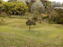 3 Habitación Casa en venta en Guarne, Antioquia, Guarne