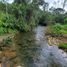  Land for sale in Pedro Vicente Maldonado, Pichincha, Pedro Vicente Maldonado, Pedro Vicente Maldonado