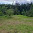  Land for sale in Pedro Vicente Maldonado, Pichincha, Pedro Vicente Maldonado, Pedro Vicente Maldonado