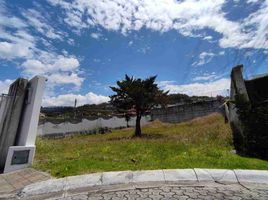  Terreno (Parcela) en venta en Nayon, Quito, Nayon