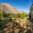  Terreno (Parcela) en venta en Chile, Vicuna, Elqui, Coquimbo, Chile