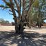  Land for rent in Aguascalientes, Aguascalientes, Aguascalientes, Aguascalientes