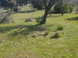  Terreno (Parcela) en venta en Chile, San Javier, Linares, Maule, Chile
