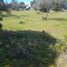  Terreno (Parcela) en venta en Chile, San Javier, Linares, Maule, Chile